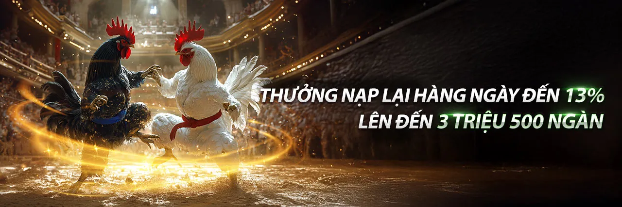Đá Gà Trực Tuyến Luky 8